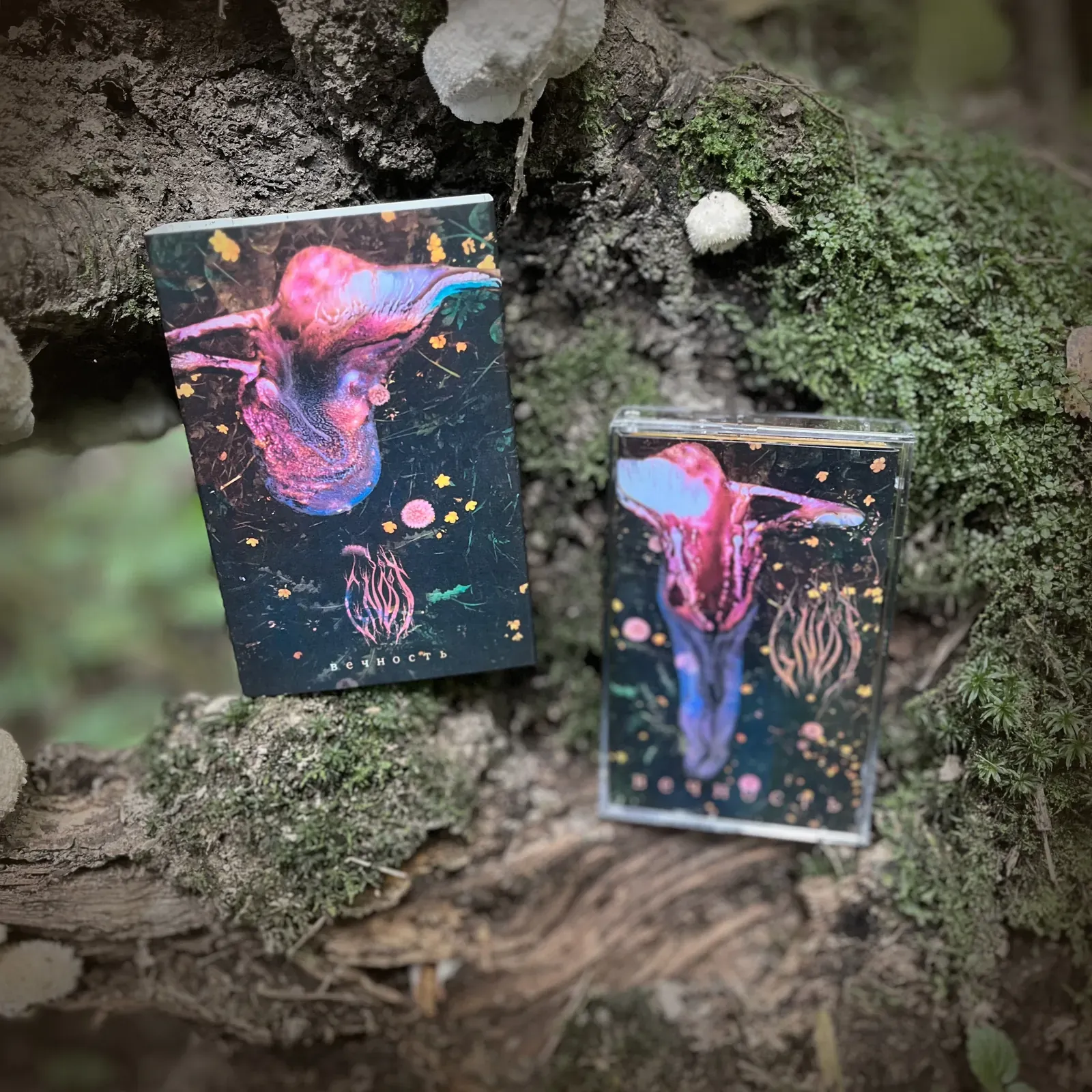 Gnot — «Eternity»